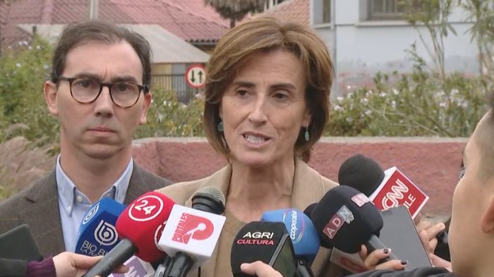 Ministra de Educación descartó que cambios en malla curricular impliquen menos horas de Historia