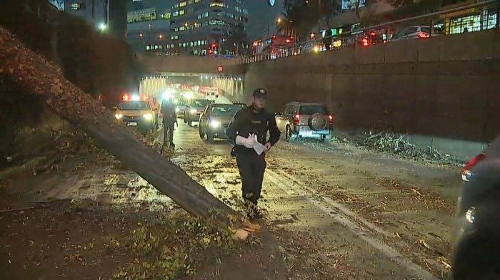 Se espera que temporal se intensifique en la noche: Ráfagas de viento causaron estragos en la capital