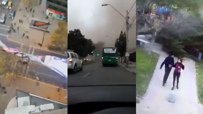 Caída de árboles y fuertes vientos: Las consecuencias del frente de mal tiempo que afecta a la capital