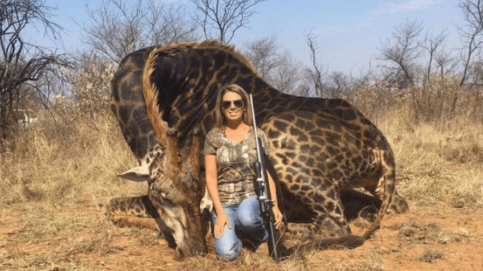 Cazadora aseguró que mató a una jirafa negra y se la comió: “estaba deliciosa”