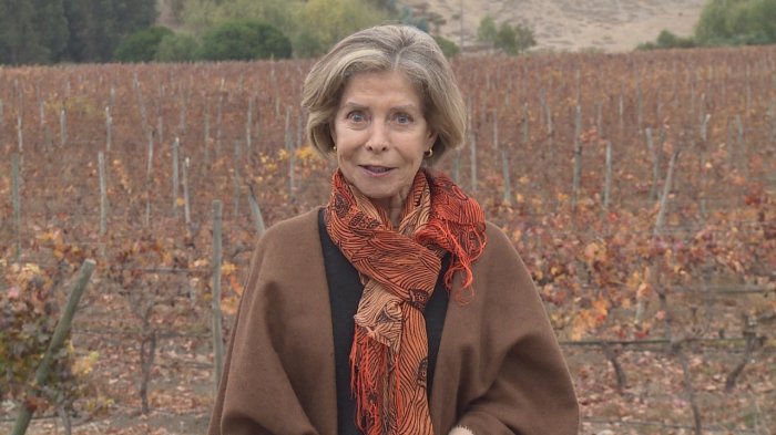 La historia de la chilena que fundó una viña en un clima frío: Uno de sus vinos fue considerado el mejor del mundo