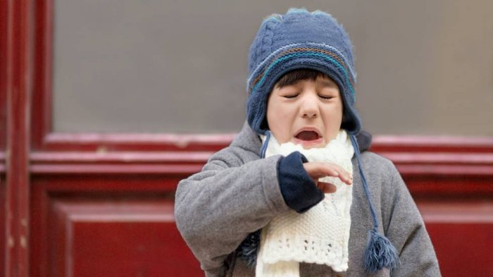 Afecta a menores de 5 años: Cómo diferenciar la rinitis de un resfriado