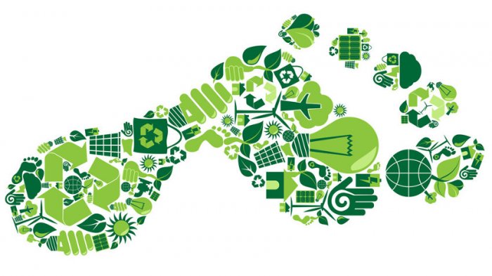 Conoce la aplicación que sirve para medir la huella de carbono de tu empresa