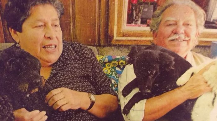 El desesperado llamado de una pareja de ancianos: Le robaron su camioneta con sus dos perritas adentro