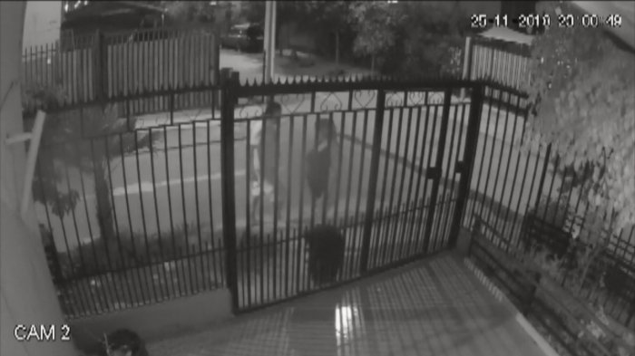 “Me siento como encarcelada y él libre”: Mujer acusa constantes agresiones y amenazas de vecino