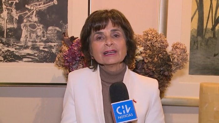 Subsecretaria Paula Daza explica que en octubre sitio web del Compin permitirá subir documentos