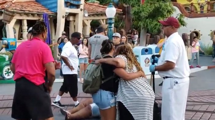 ¿El lugar más feliz del planeta? Registran pelea familiar en Disneylandia que atemorizó a niños (y adultos)