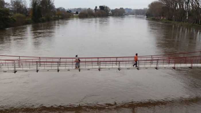 Confirman que derrame de petróleo también alcanzó al río Rahue en Osorno