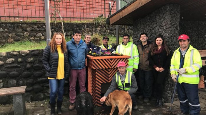 Instalan maceteros con casita en Panguipulli para que perros abandonados tengan refugio