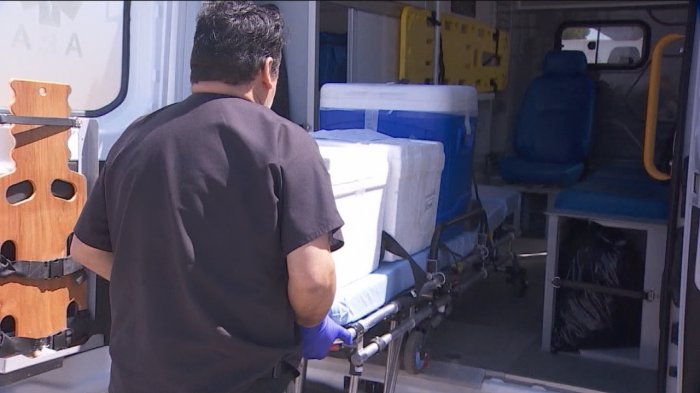 ¿Qué falló? La cronología del frustrado traslado de órganos de Joaquín Bustos