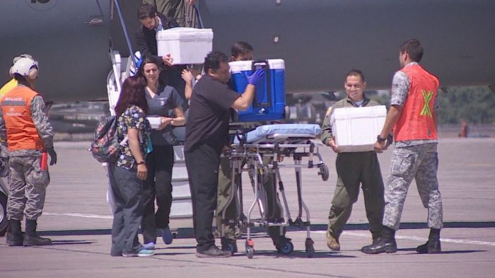 Sociedad Chilena de Trasplantes: “Estas noticias dan la oportunidad de revisar los procesos de procuramiento y donación”