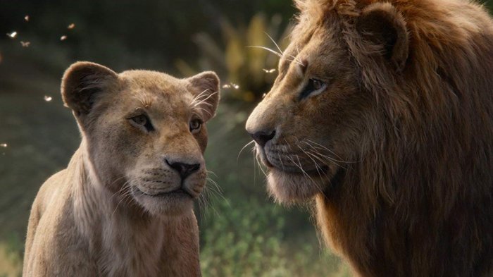 ¿Por qué las imágenes de la versión digital de 