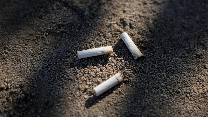 Presentan proyecto de ley que sanciona a quienes tiren las colillas de cigarro al suelo