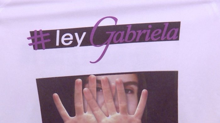 La historia de la Ley Gabriela, el proyecto que busca ampliar la tipificación de femicidio