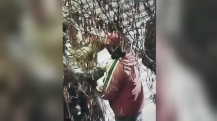 Turistas españoles sufrieron violento asalto durante la madruga en pleno centro de Santiago