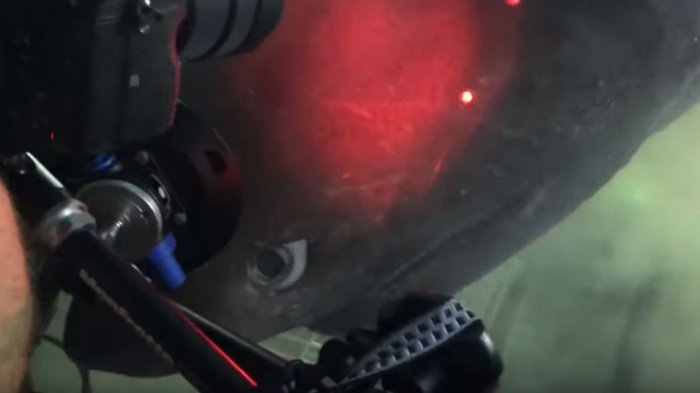 Captan “prehistórico” tiburón a más de 500 metros de profundidad en el Caribe