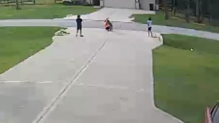 Niño de 6 años sufrió el brutal ataque de un pitbull: Vecino logró rescatarlo