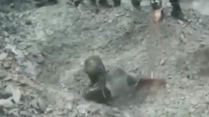 Perro buscaba bombas y encontró a un hombre enterrado bajo tierra que estaba con vida