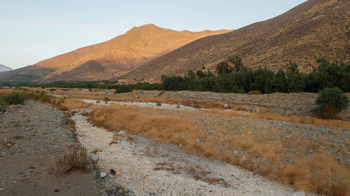 Decretan emergencia agrícola en la región de Valparaíso por escasez hídrica