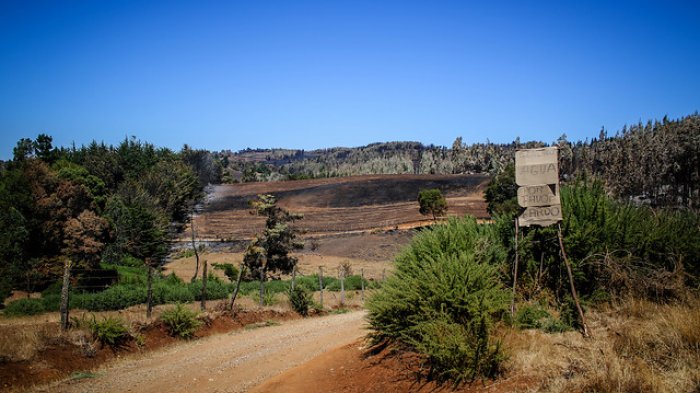 Diputados RN piden tipificar usurpaciones de terreno como delito: Penas irían desde los 61 a los 301 días de presidio