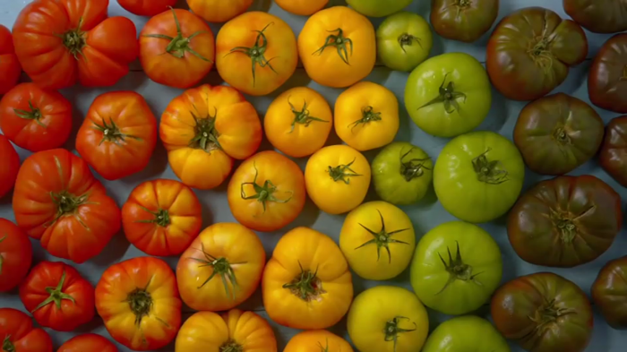 ONU advierte: Cambiar nuestra dieta es clave para salvar al planeta del cambio climático