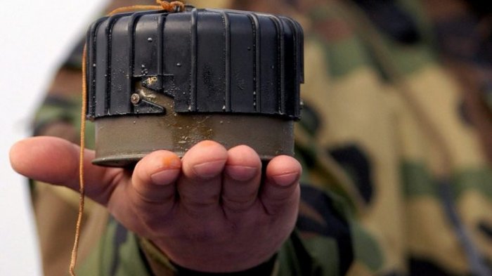 Estado ha pagado $1.735 millones como indemnización a víctimas de minas antipersonales