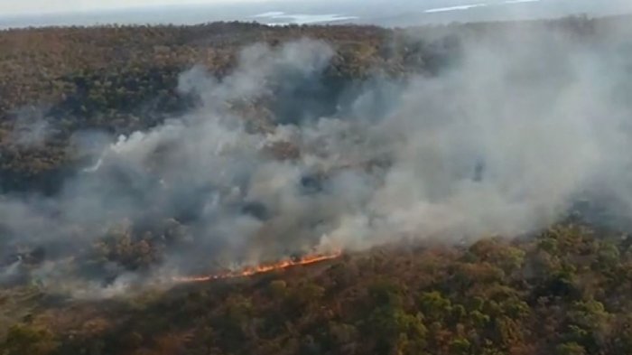 ¡Se nos quema el pulmón del planeta! Incendios forestales continúan descontrolados en la Amazonía