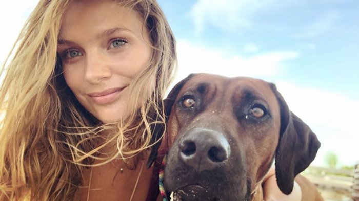 Mayte Rodríguez se defiende tras molestia por viajar con su perro en un avión