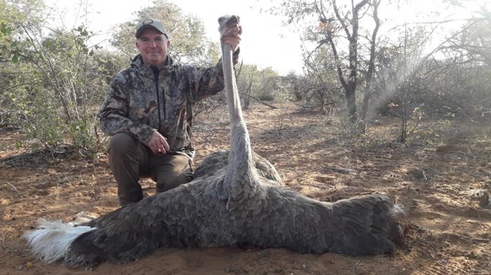 Granja en Sudáfrica cría a sus animales, los engorda y cobra por cazarlos