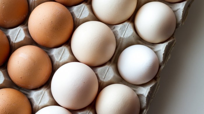 Supermercados han cuadruplicado oferta de huevos de gallinas libres en 2019