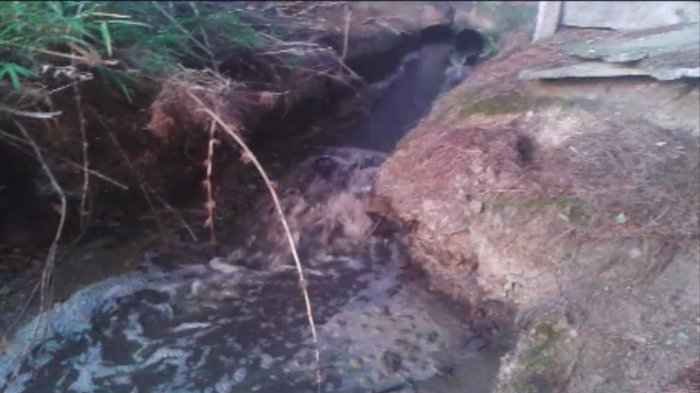 Más allá del escándalo de Osorno: Justicia investiga a Essal por contaminación en Lago Llanquihue y en Los Muermos