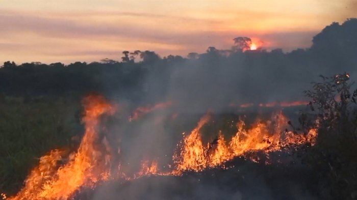 G7 ofreció US$20 millones para combatir incendios en la Amazonía, pero Brasil rechazó la ayuda