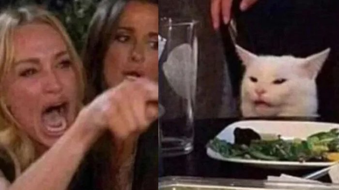¿Cómo se originó el meme del gato en la mesa que se volvió viral?