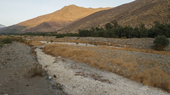 ¡Sus animales se mueren y sus tierras se secan! Llaman a colaborar con los pequeños campesinos afectados por la sequía