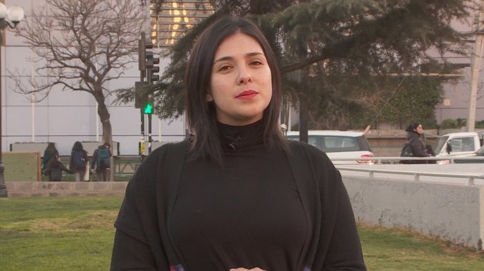 Karol Cariola y proyecto 40 horas: “Hemos buscado caminar de mano de las Pymes y de los empresarios”