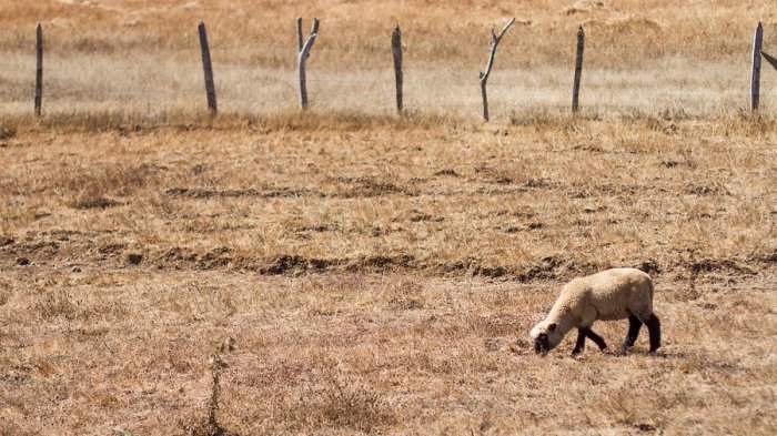 Aguas Andinas advierte que debemos “priorizar el consumo humano” y que este verano será “complicado”