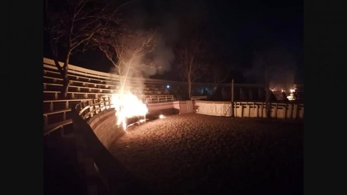 Grupo de animalistas quemaron parte de la medialuna de Curacaví