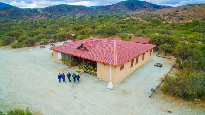 Fan Chile: Actividad que tiene a los niños como protagonistas