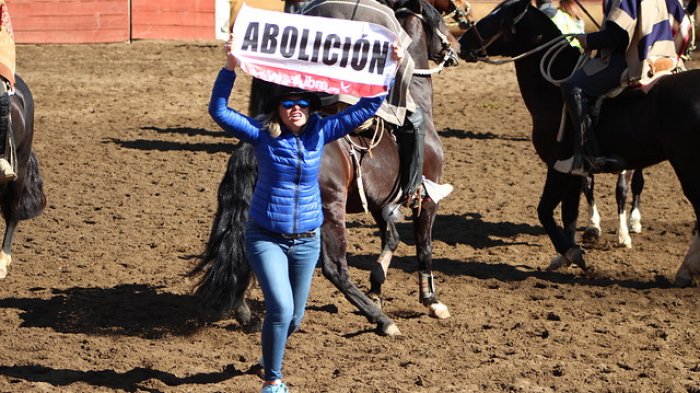 Animalistas irrumpieron en la medialuna del Parque Padre Hurtado