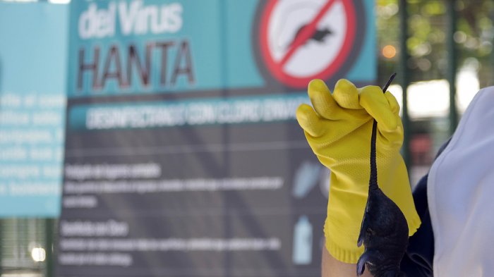 Detectan un caso de Hanta en Puerto Octay: Mujer está grave en Hospital de Temuco