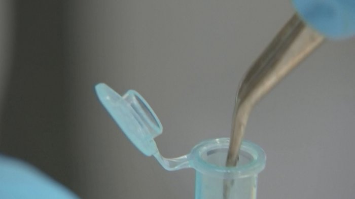 Partículas de contaminación ambiental atraviesan placenta y podrían llegar al feto en desarrollo