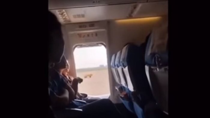 Pasajera de avión abrió puerta de emergencia momentos antes del despegue: Quería que entrara 