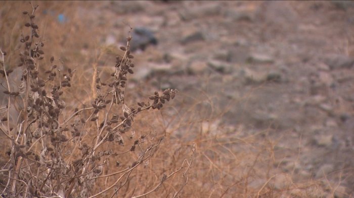 ¿Subir o no la cuenta? La polémica medida para optimizar el consumo de agua y combatir la sequía