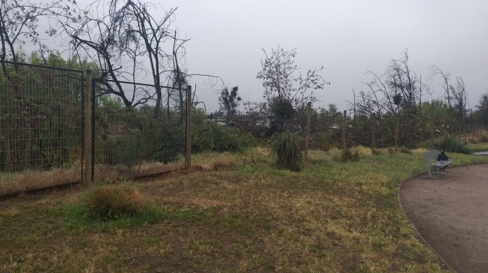 Vecinos se enfrentaron cara a cara con ladrones que robaban rejas que divide plaza con Canal San Carlos