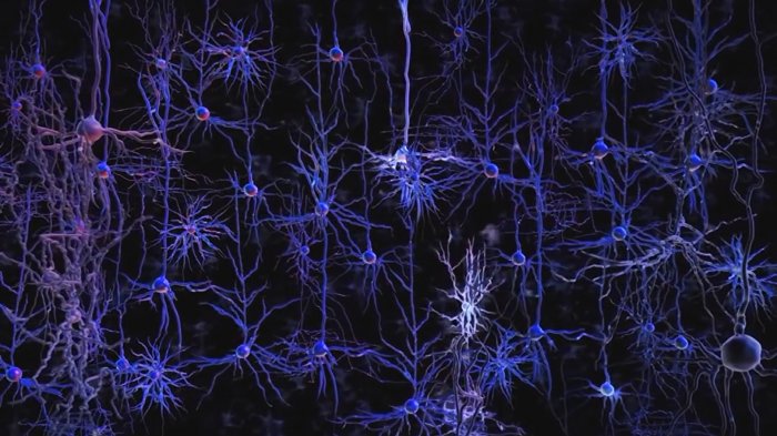 La tecnología esta cada vez más cerca de poder leer nuestro cerebro