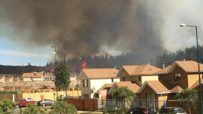 Intendente de Valparaíso sostiene que incendio forestal 