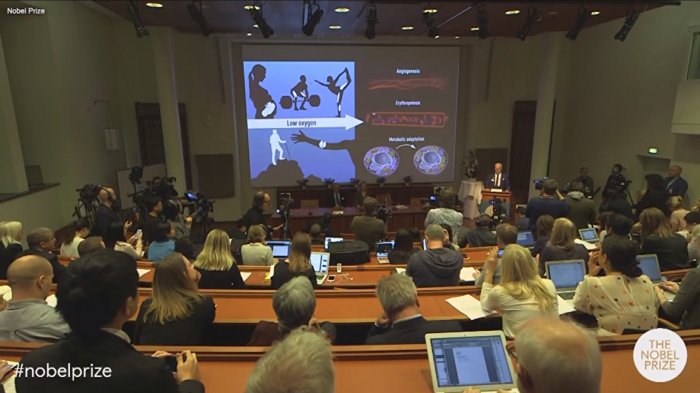 Nobel de Medicina 2019 acerca la posibilidad de obtener una cura para la anemia y el cáncer