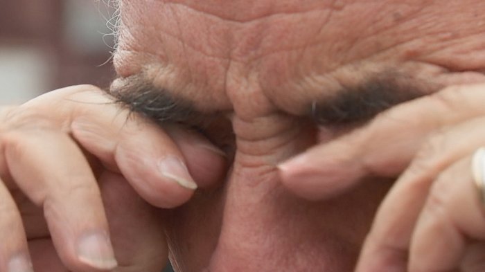 Purificadores de aire podrían convertirse en la solución de los alérgicos