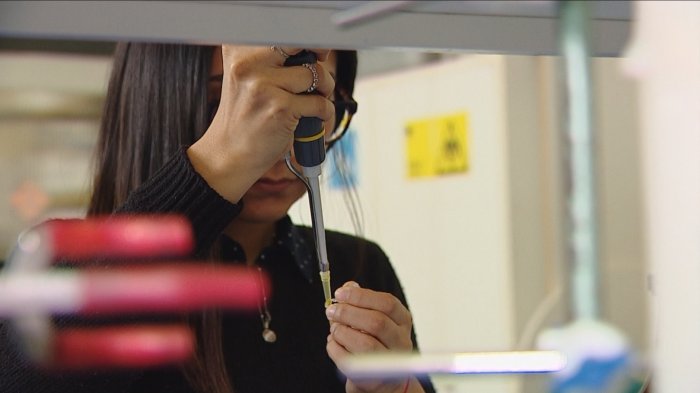 Científicos chilenos descubren que toxina de la marea roja ayudaría al tratamiento de la epilepsia