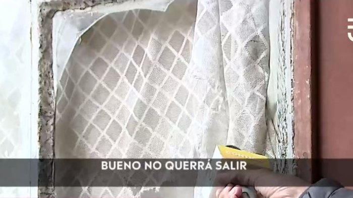 Habla joven que habría estado encerrada en departamento por 16 años: “Mi mamá no me prohíbe nada”